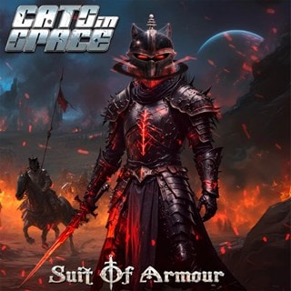 Suit of Armour
