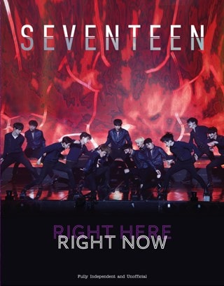 Seventeen: Right Here, Right Now Hardback By Carolyn McHugh