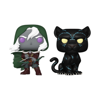 Drizzt Do’Urden & Guenhwyvar Dungeons & Dragons Funko Pop Vinyl 2 Pack