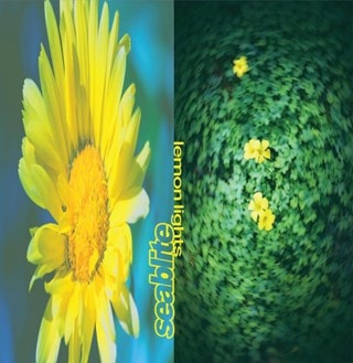 Lemon Lights