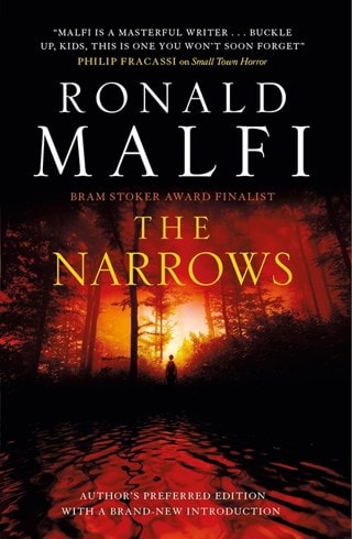 The Narrows Paperback By Ronald Malfi