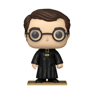 James Potter 223 Harry Potter Marauder's Map Funko Pop Vinyl