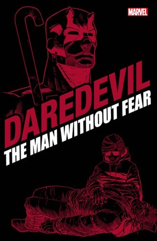 Daredevil The Man Without Fear Marvel Graphic Novel