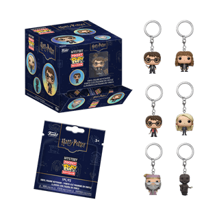 Harry Potter Mystery Funko Pop Vinyl Keychain