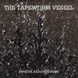 Twelve Atmospheres