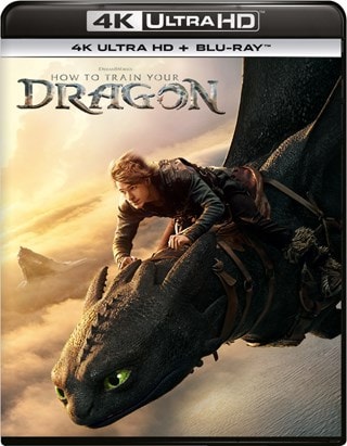 How to Train Your Dragon