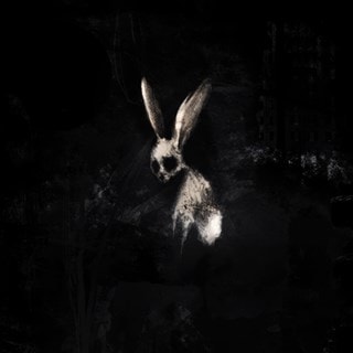 FOLLOW the WHITE RABBIT