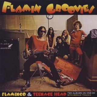 Flamingo/Teenage Head