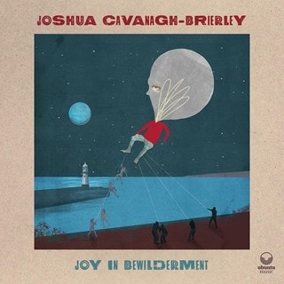 Joy in Bewilderment