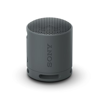 Sony SRSXB100 Black Bluetooth Speaker