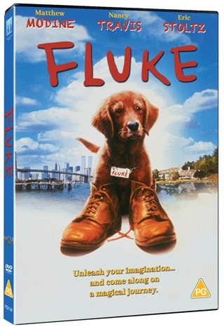 Fluke