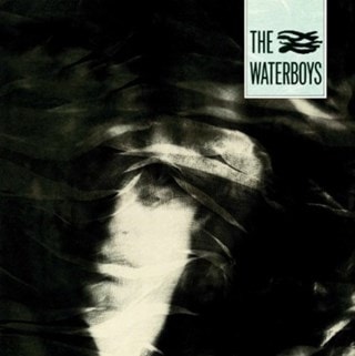 The Waterboys