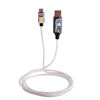 Lazerbuilt Rick & Morty Light-Up USB-C Cable