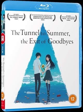 The Tunnel to Summer, the Exit of Goodbyes