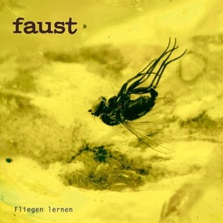 Fliegen Lernen (Curated By Gunther Wusthoff)