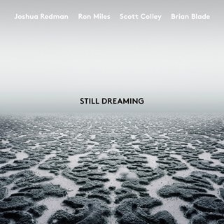 Still Dreaming (Feat. Ron Miles, Scott Colley & Brian Blade)