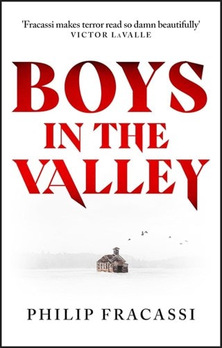 Boys in the Valley Paperback By Philip Fracassi