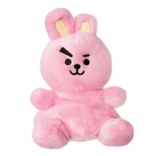 5" BT21 Cooky Palm Pals Plush