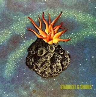 Stardust & Debris