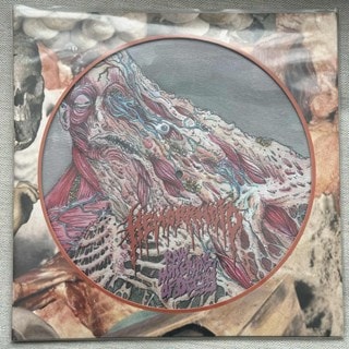 Raw Materials of Decay