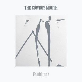 Faultlines