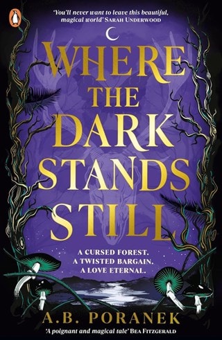 Where The Dark Stands Still Paperback By A.B. Poranek