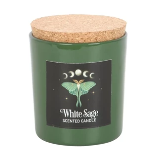 Luna Moth White Sage Scented Candle