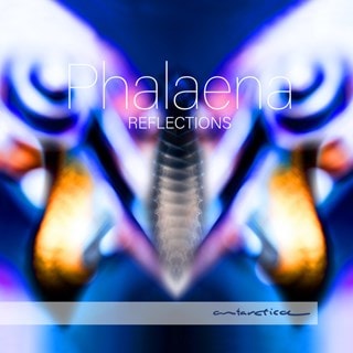 Phalaena: Reflections