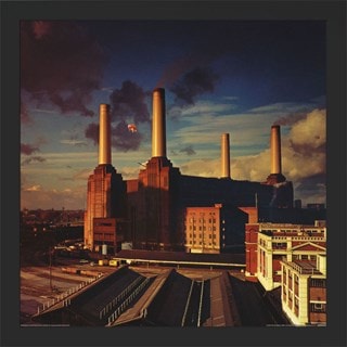 Animals Pink Floyd Framed Album Cover Print