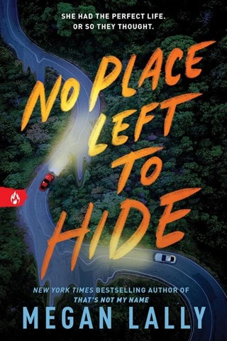 No Place Left To Hide Paperback By Megan Lally