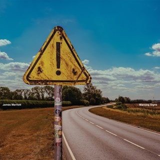 Warning Signs (hmv Exclusive) Yellow & Black Spinner Vinyl
