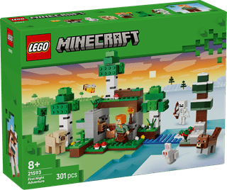 First Night Adventure Minecraft LEGO