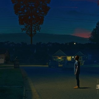 Kinfolk 2: See the Birds
