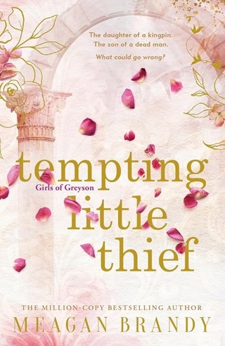 Tempting Little Thief Paperback By Meagan Brandy