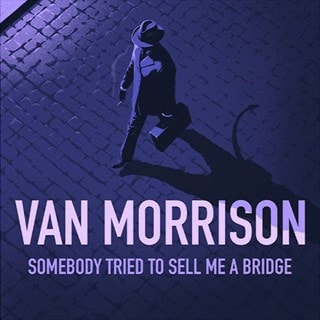 Somebody Tried to Sell Me a Bridge