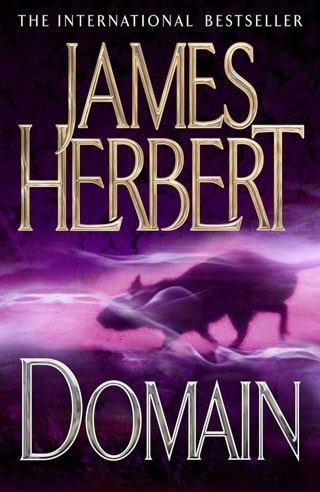 Domain: The Rats Trilogy Book 3 Paperback By James Herbert