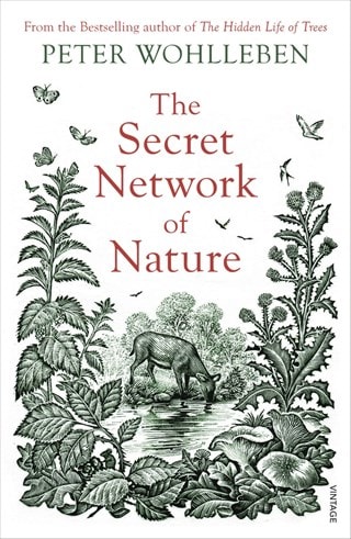 Secret Network Of Nature