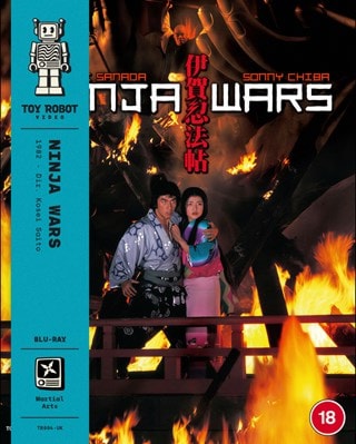 Ninja Wars