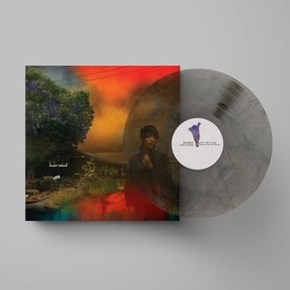 We've Been Going About This All Wrong - Limited Edition Marble Smoke Vinyl