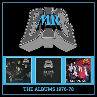 The Albums 1976-78