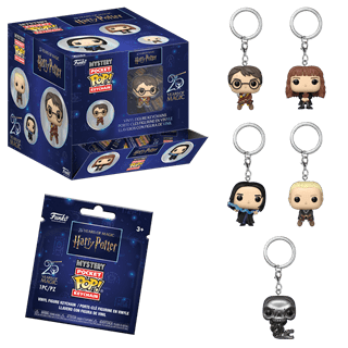 Harry Potter 25th Anniversary Mystery Funko Pop Vinyl Keychain
