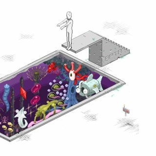 The Pool