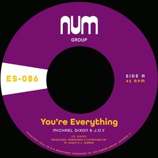You're Everything/You're All I Need