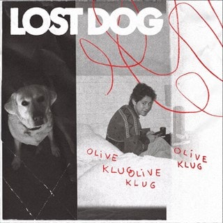 Lost Dog