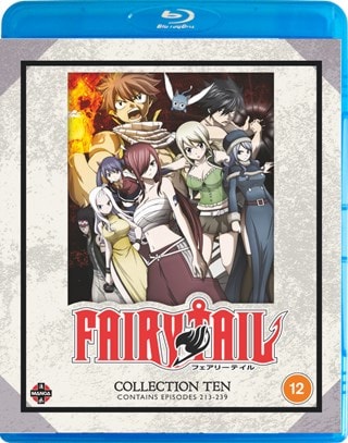 Fairy Tail: Collection 10