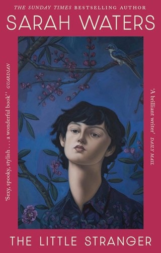 The Little Stranger Paperback By Sarah Waters