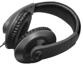 Walk Audio W202 Black Headphones