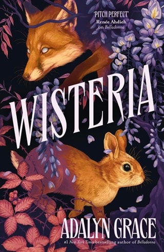 Wisteria: Belladonna 3 Paperback By Adalyn Grace