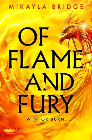 Of Flame And Fury Paperback By Mikayla Bridge