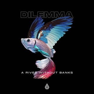 A River Without Banks